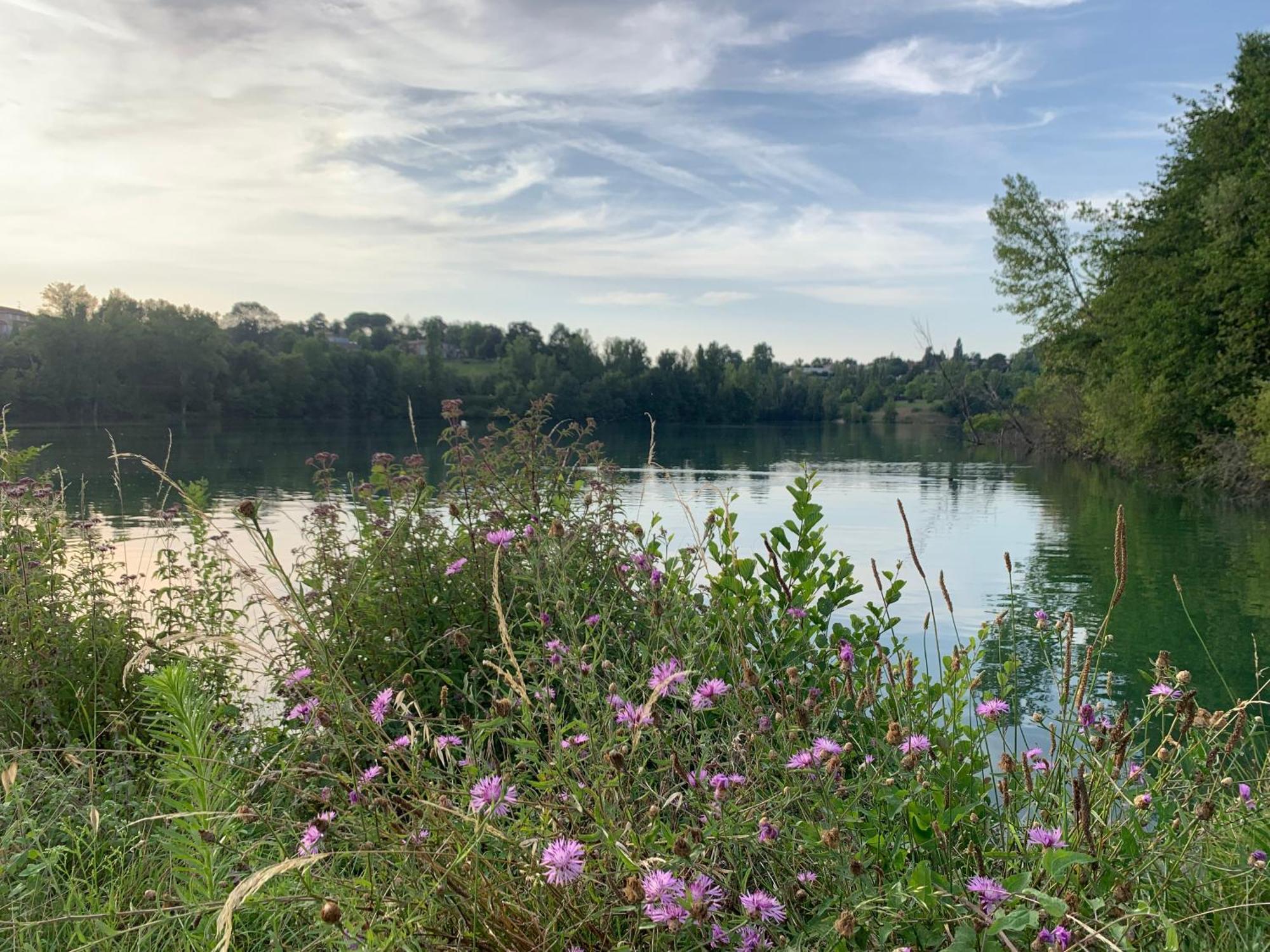 Terres De France - Les Hameaux Des Lacs Monclar-de-Quercy Eksteriør bilde